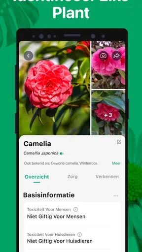 PictureThis -Planten Herkennen