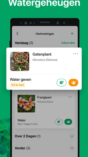 PictureThis -Planten Herkennen