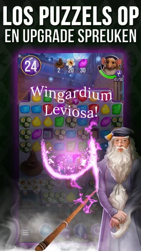 Harry Potter: Puzzels & Magie