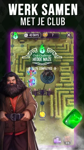 Harry Potter: Puzzels & Magie