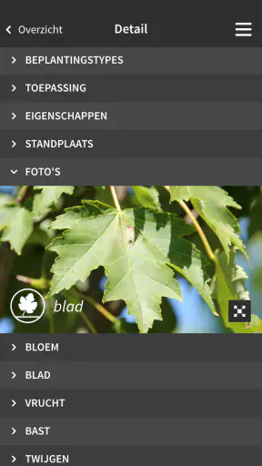 Ebben TreeEbb