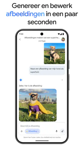 Google Gemini