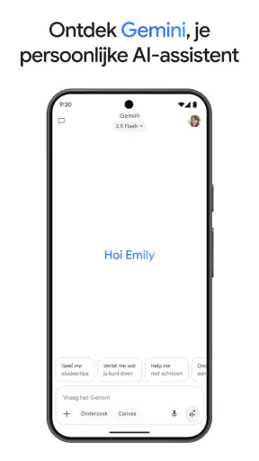 Google Gemini