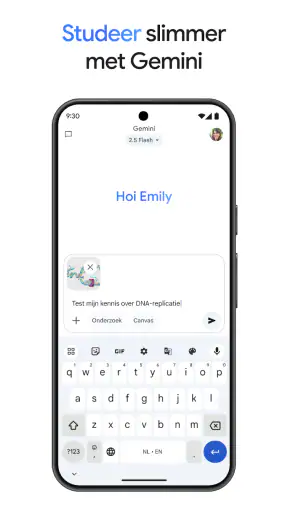 Google Gemini