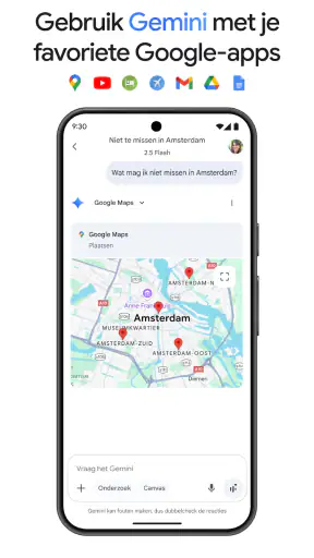 Google Gemini