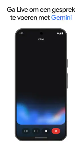 Google Gemini