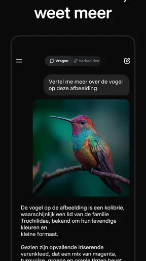 Grok: AI-assistent