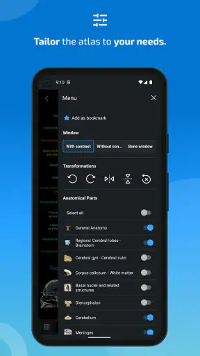 IMAIOS e-Anatomy