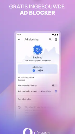 Opera-browser met VPN