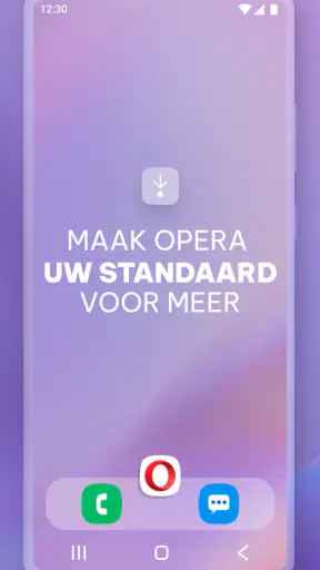 Opera-browser met VPN