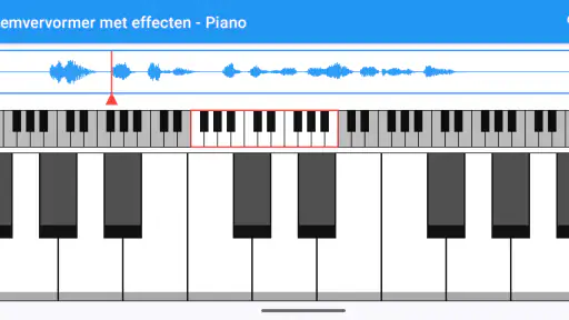 Stemvervormer met effecten