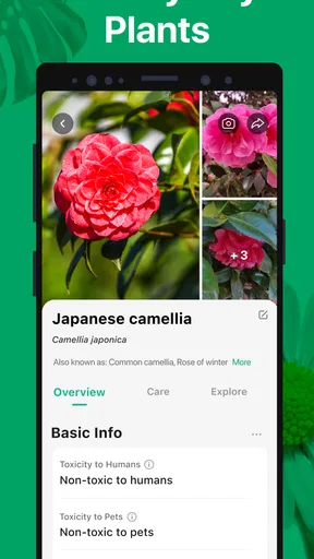 PictureThis - Plant Identifier