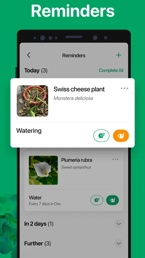 PictureThis - Plant Identifier