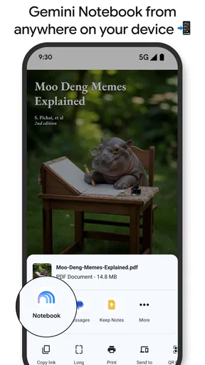 Gemini Notebook