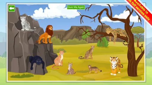 Kids Learn about  Animals