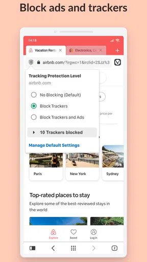 Vivaldi Browser Snapshot